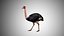 Collection d'oiseaux gréés Low Poly
