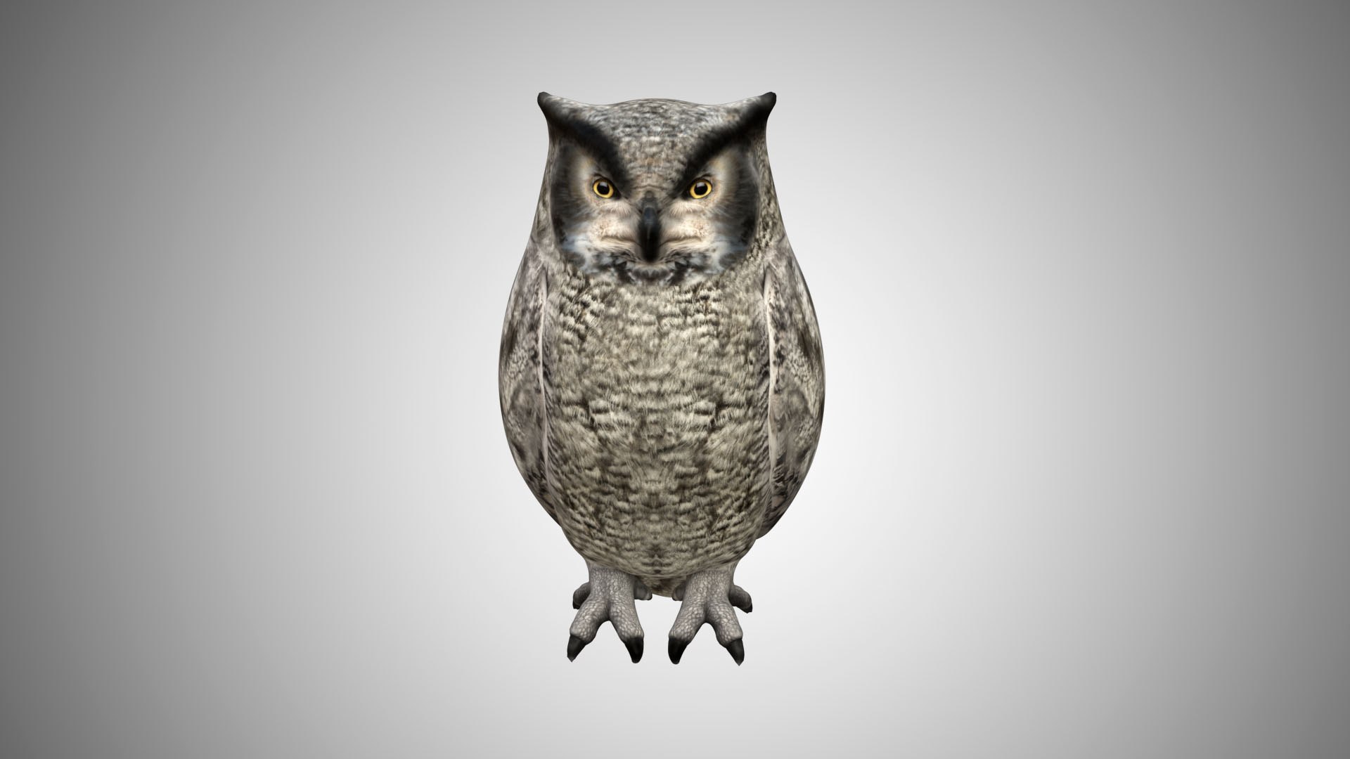 rigged realistic 3D model https://p.turbosquid.com/ts-thumb/Y1/kK8Mt5/cVMU3kl7/02/jpg/1597095520/1920x1080/fit_q87/7bb6e3f7dca47e14f1116246daa59d4aa740a01e/02.jpg