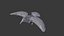 Collection d'oiseaux gréés Low Poly