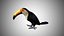 Collection d'oiseaux gréés Low Poly