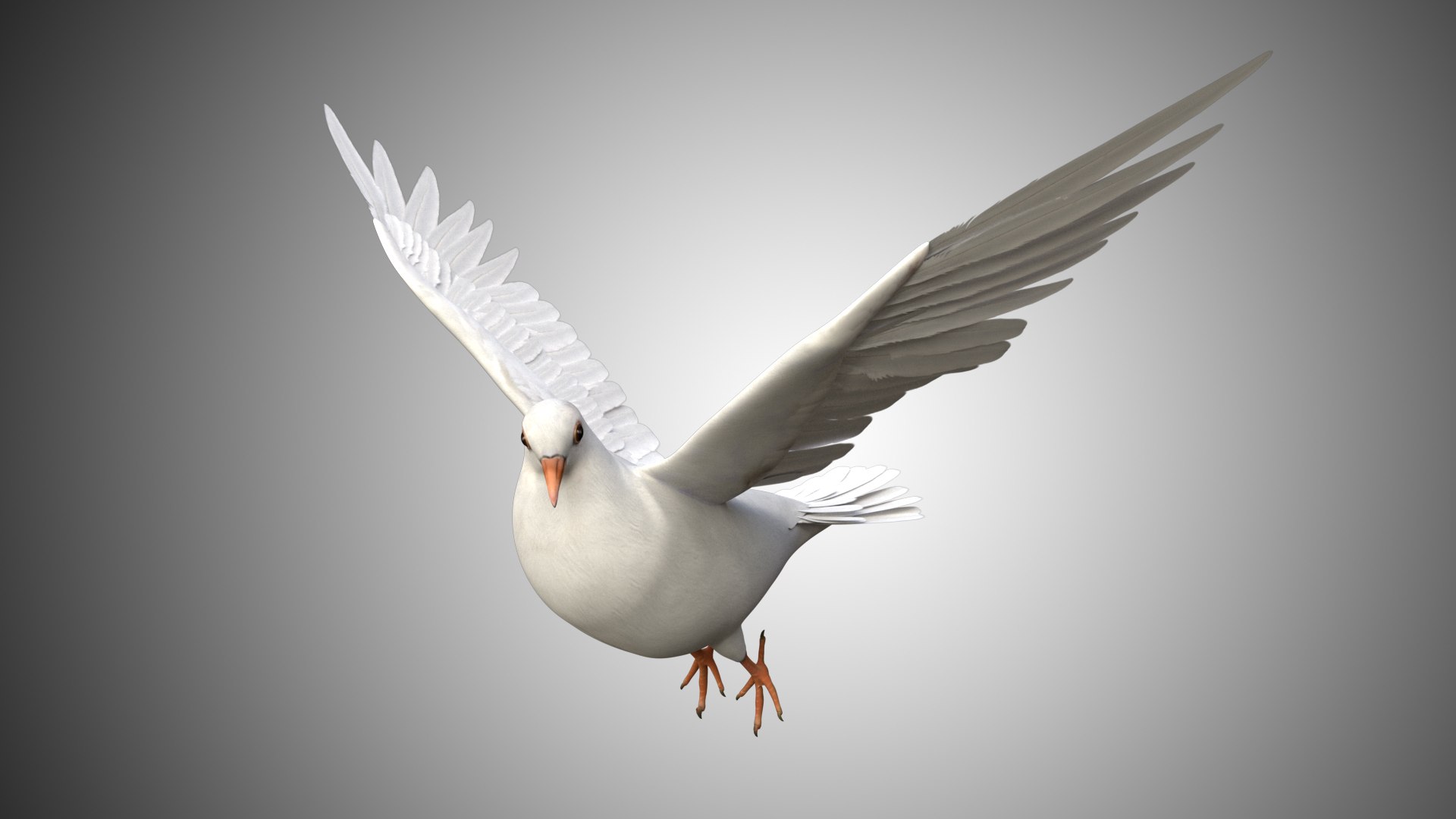 rigged realistic 3D model https://p.turbosquid.com/ts-thumb/Y1/kK8Mt5/fHskbYuh/dove_05/jpg/1597095643/1920x1080/fit_q87/1cf146c5ed434121f81520a05dc4da25244035a2/dove_05.jpg