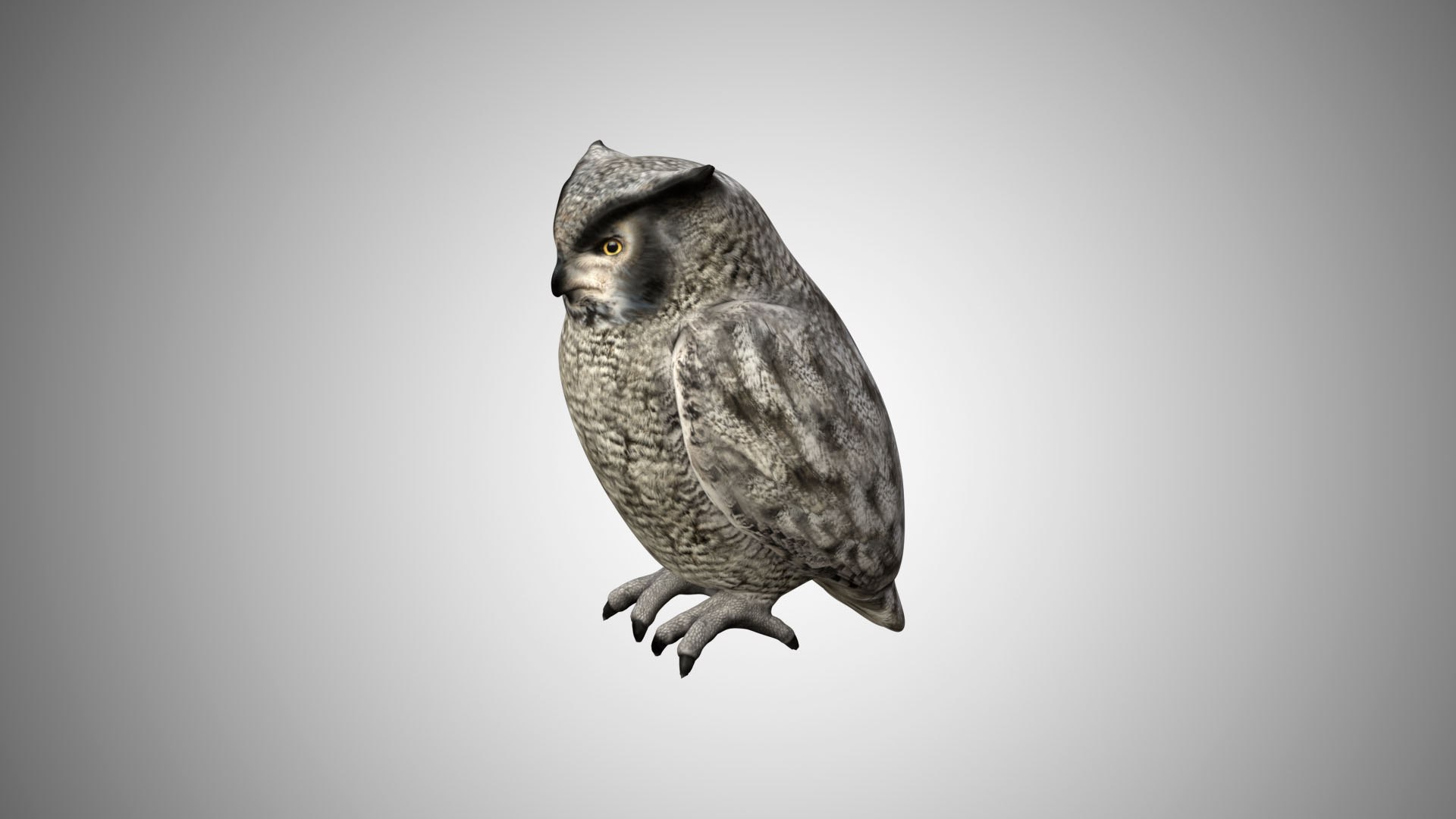 rigged realistic 3D model https://p.turbosquid.com/ts-thumb/Y1/kK8Mt5/fyYfowQH/01/jpg/1597095520/1920x1080/fit_q87/0fa78278bcd305ed53a7cbc87142c9a100e1b124/01.jpg