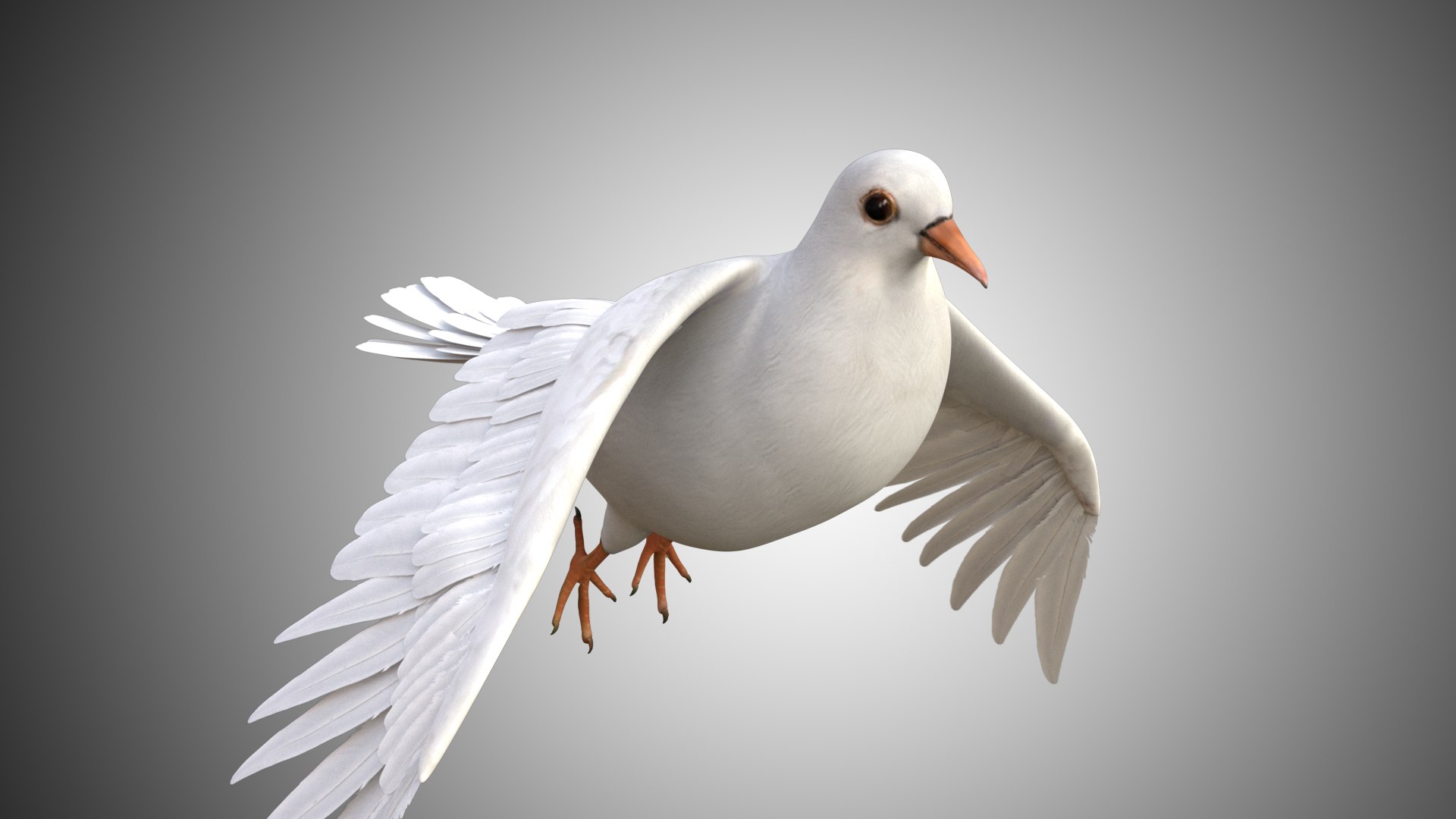 rigged realistic 3D model https://p.turbosquid.com/ts-thumb/Y1/kK8Mt5/gB631FDf/dove_00/jpg/1597095643/1920x1080/fit_q87/499aedab094915fe87ae370dd9a252a206c92ac0/dove_00.jpg