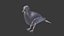 Collection d'oiseaux gréés Low Poly
