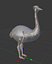 Collection d'oiseaux gréés Low Poly
