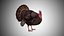 Collection d'oiseaux gréés Low Poly
