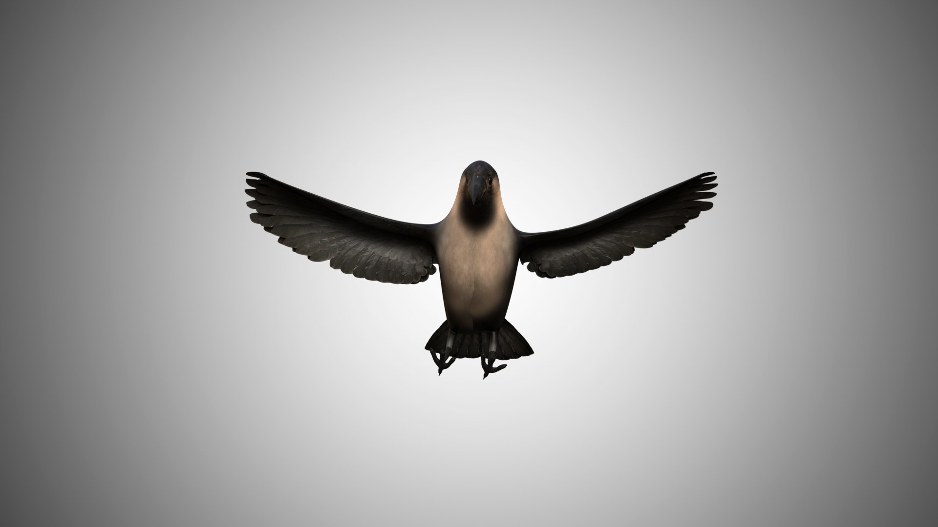 rigged realistic 3D model https://p.turbosquid.com/ts-thumb/Y1/kK8Mt5/kX3ITUpR/crow05/jpg/1597095624/1920x1080/fit_q87/e613b5c9cd45f9ea9c18a0408ba6a4d8bbb684d6/crow05.jpg