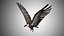 Collection d'oiseaux gréés Low Poly