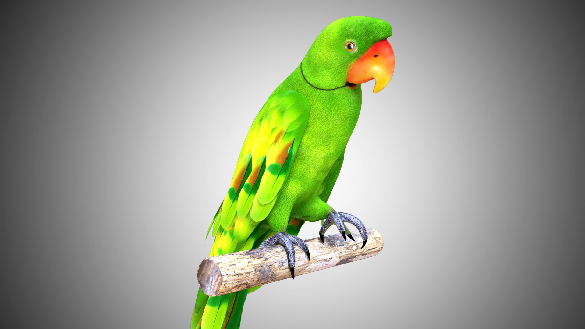 rigged realistic 3D model https://p.turbosquid.com/ts-thumb/Y1/kK8Mt5/on9V7pJP/04/jpg/1597095459/1920x1080/fit_q87/f604b3604e8728a827b98f7d45d4f2e298ae183c/04.jpg