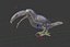 Collection d'oiseaux gréés Low Poly