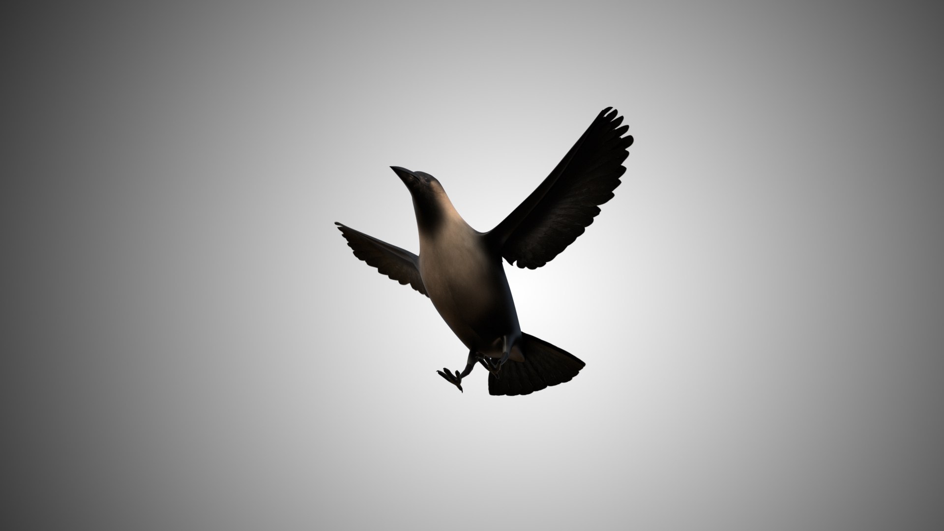 rigged realistic 3D model https://p.turbosquid.com/ts-thumb/Y1/kK8Mt5/reSv41sz/crow02/jpg/1597095624/1920x1080/fit_q87/52a2792b8a2a414041bed65c1d7847b902ea2188/crow02.jpg