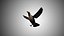 Collection d'oiseaux gréés Low Poly