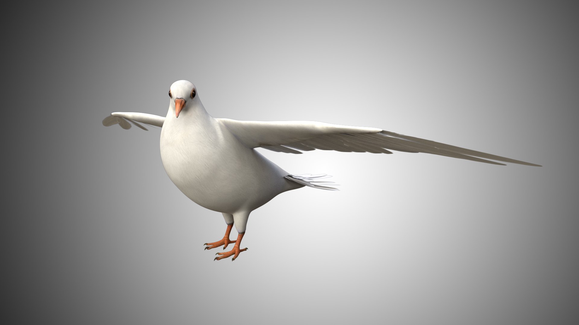 rigged realistic 3D model https://p.turbosquid.com/ts-thumb/Y1/kK8Mt5/ua98nGZY/dove_09/jpg/1597095643/1920x1080/fit_q87/b94096c032dff5ecbbc101adda5e2feeb524a7e5/dove_09.jpg