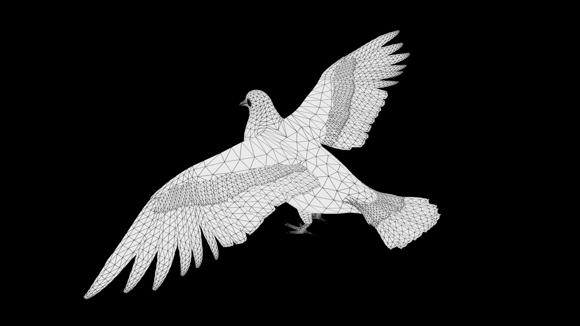 rigged realistic 3D model https://p.turbosquid.com/ts-thumb/Y1/kK8Mt5/xxY6q9nr/dove_wireframe/jpg/1597095643/1920x1080/fit_q87/0260aad4f5b23ba34d498db42d5196fe8b41c693/dove_wireframe.jpg