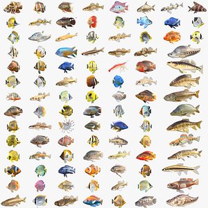 100 Fish and Sea Creatures Collection v3 3D model