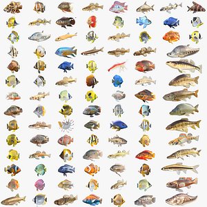 100 Fish and Sea Creatures Collection v3