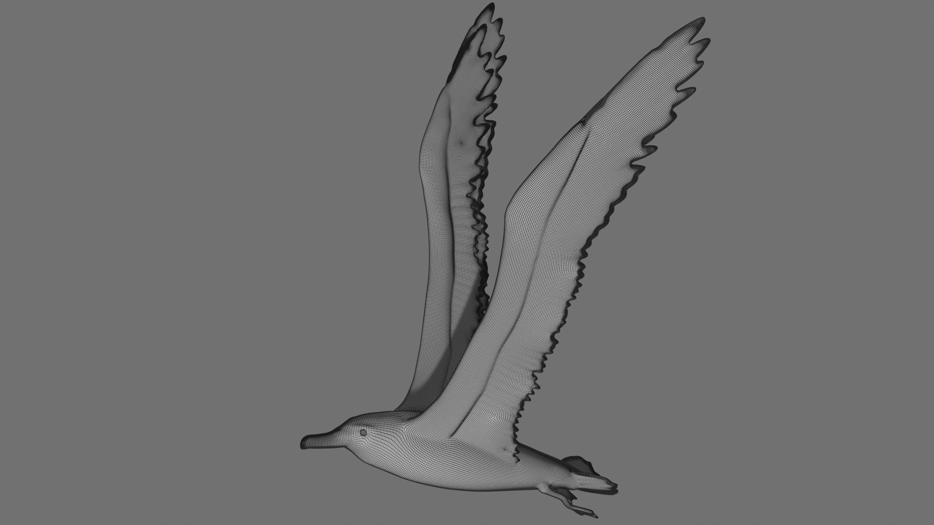 Fully Rigged Low Poly Albatross 3D model https://p.turbosquid.com/ts-thumb/Y2/8u5rVG/ZK/8/jpg/1624542251/1920x1080/fit_q87/70293d6fea6c8239f63367e59b8fd1bbc4713b4c/8.jpg