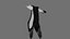 Fully Rigged Low Poly Albatross