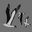 Fully Rigged Low Poly Albatross
