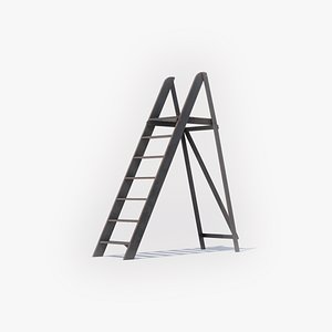 3D Ladder02