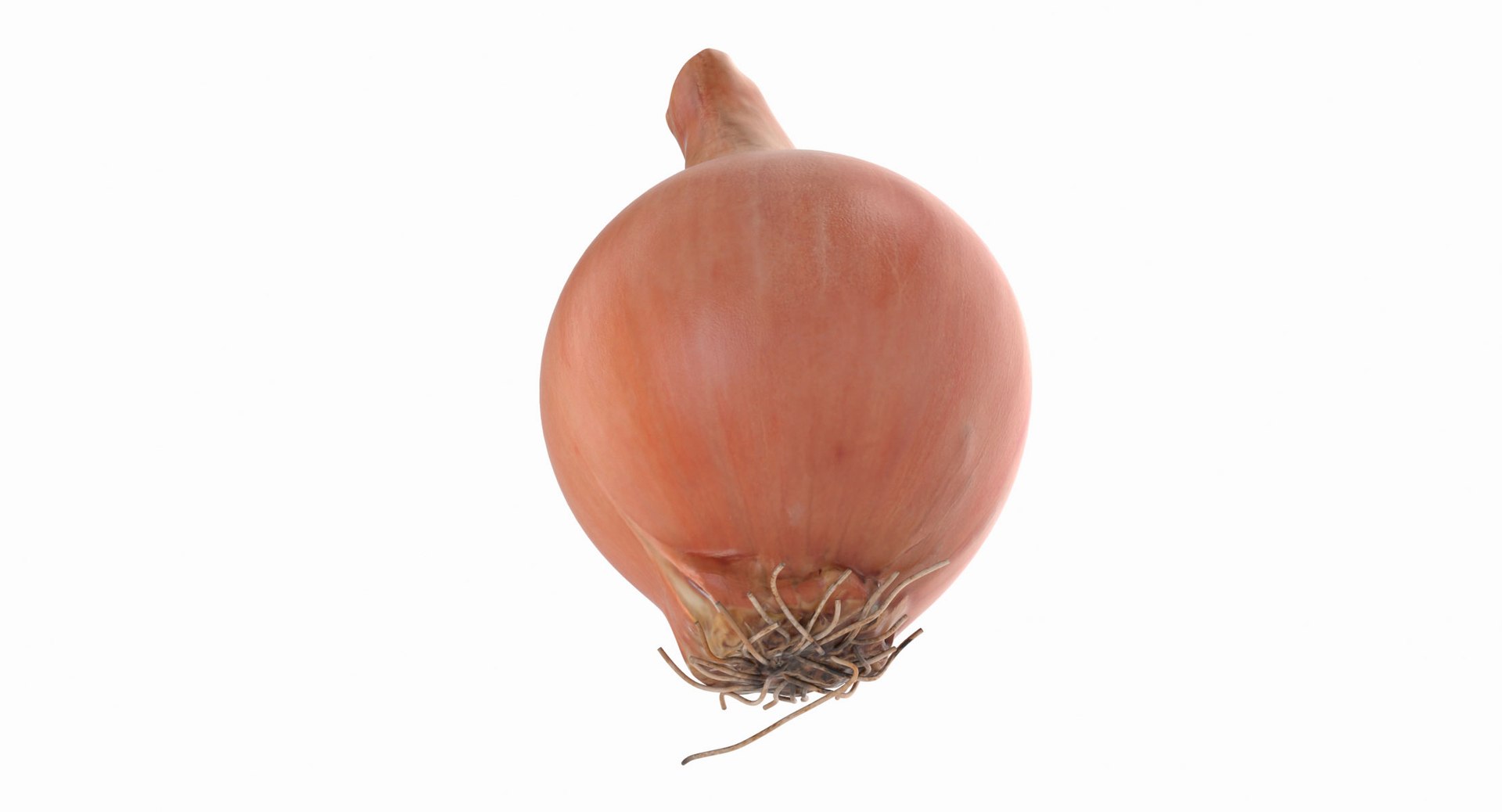 3d model onion https://p.turbosquid.com/ts-thumb/Y2/SZicgS/Ae38m8sJ/onion_10/jpg/1468795247/1920x1080/fit_q87/3d5c0c73f18aebddc4c020ca58e148143daead5a/onion_10.jpg
