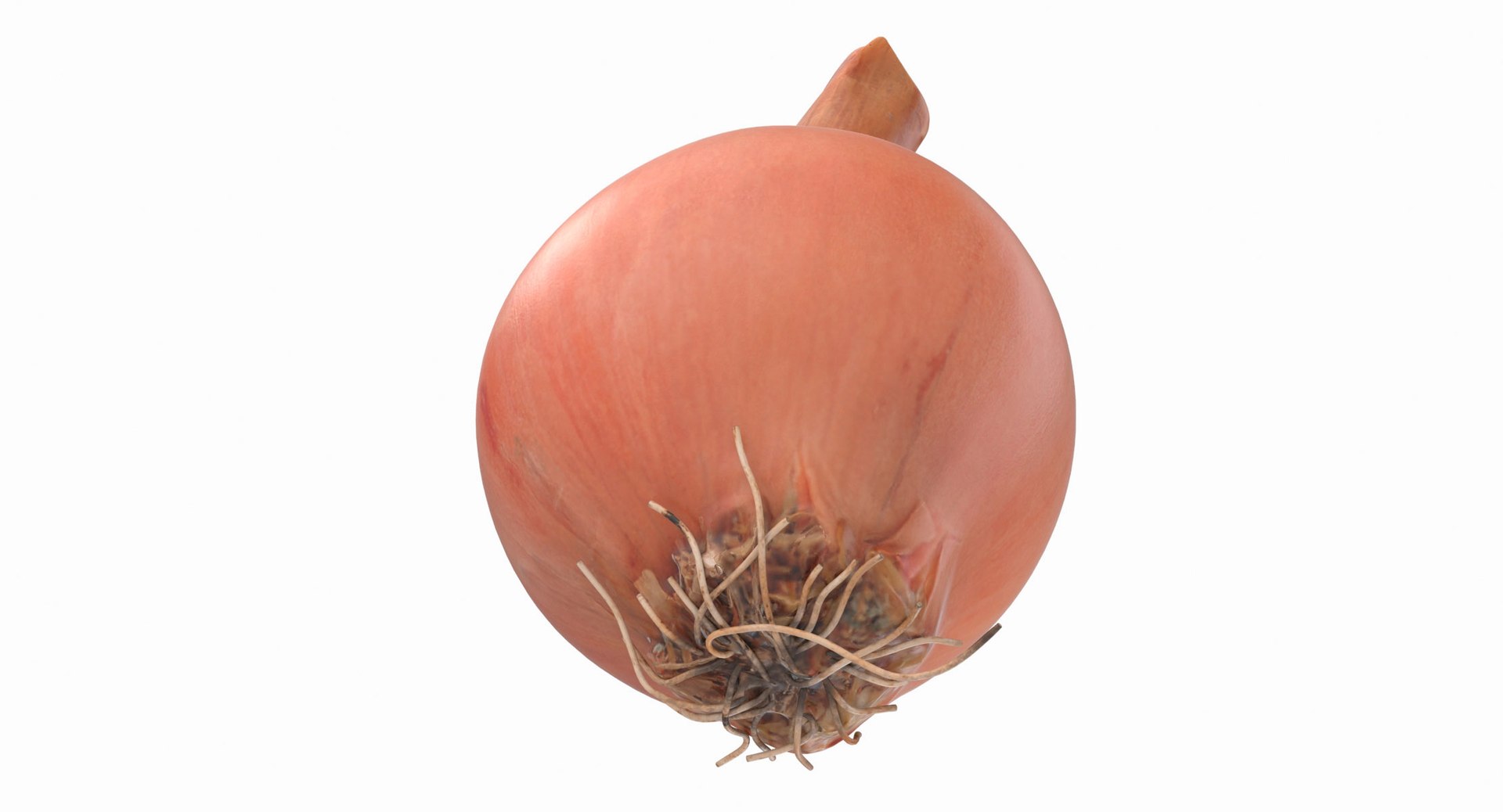 3d model onion https://p.turbosquid.com/ts-thumb/Y2/SZicgS/HLoqiFgn/onion_12/jpg/1468795247/1920x1080/fit_q87/9e6d27f391c6f1082bef129e727614c58ac9c425/onion_12.jpg