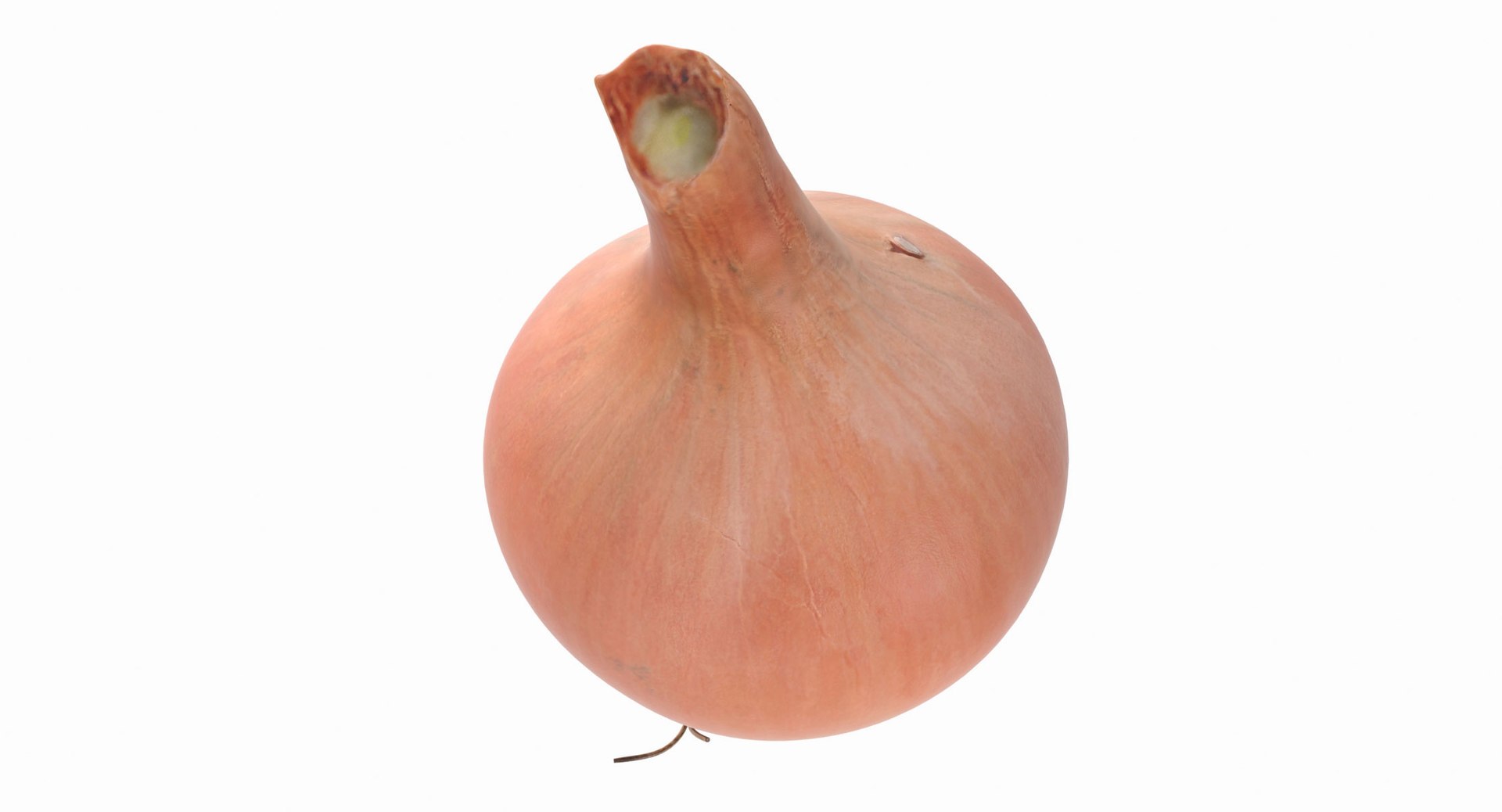 3d model onion https://p.turbosquid.com/ts-thumb/Y2/SZicgS/LKg3WZDF/onion_09/jpg/1468795247/1920x1080/fit_q87/0914011b7185461cc3fba1fcfac3b6431f78c6f2/onion_09.jpg