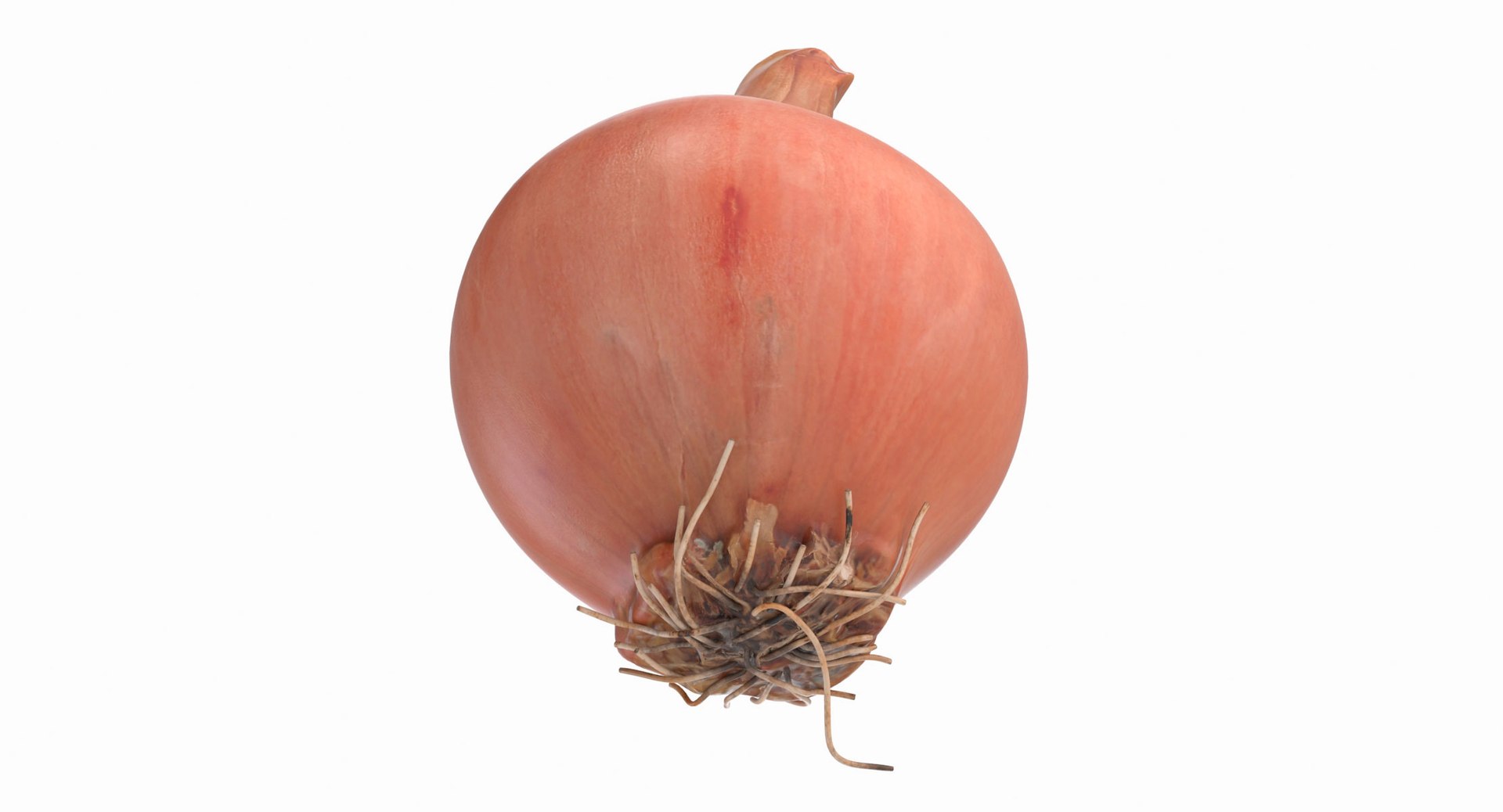 3d model onion https://p.turbosquid.com/ts-thumb/Y2/SZicgS/QyD0cuNg/onion_11/jpg/1468795247/1920x1080/fit_q87/89f5629b2a13970b52cd17939dc6dab60c7fdfd6/onion_11.jpg