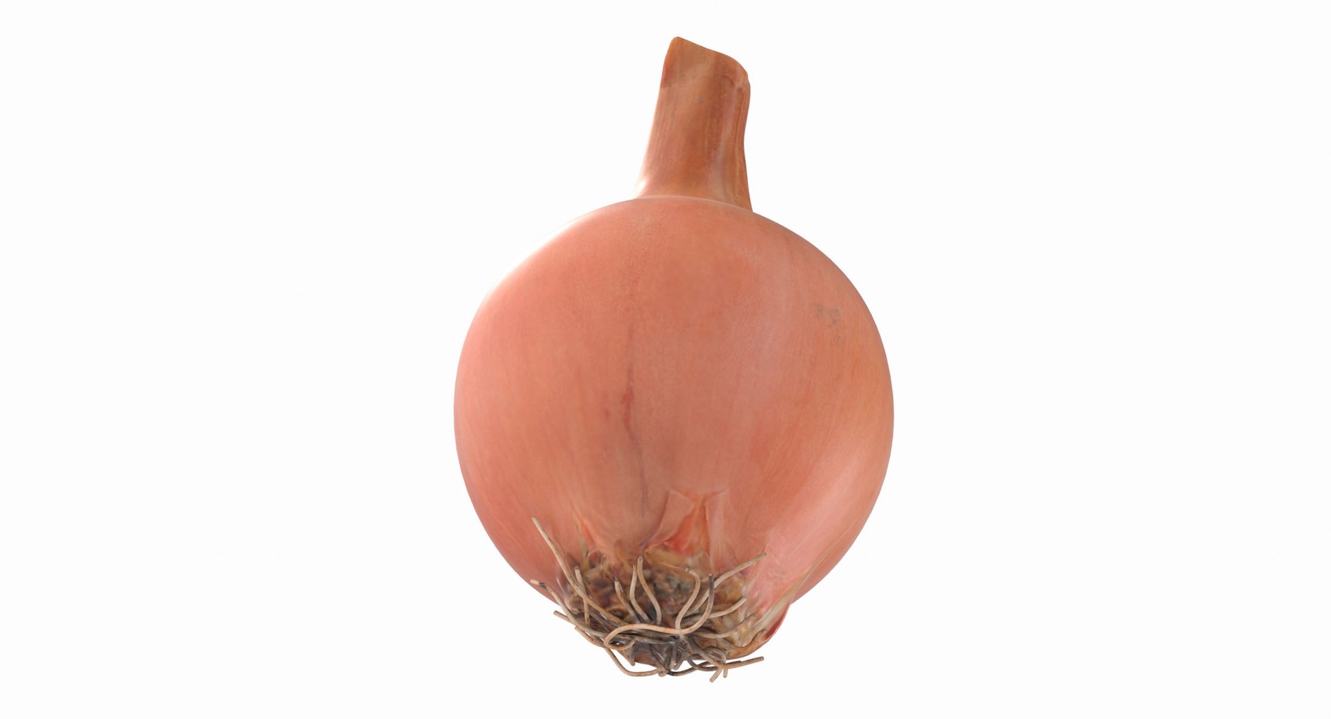 3d model onion https://p.turbosquid.com/ts-thumb/Y2/SZicgS/Rem98610/onion_13/jpg/1468795248/1920x1080/fit_q87/2a8f709a49826ed099bdbce679fdb822f7e5b5f5/onion_13.jpg