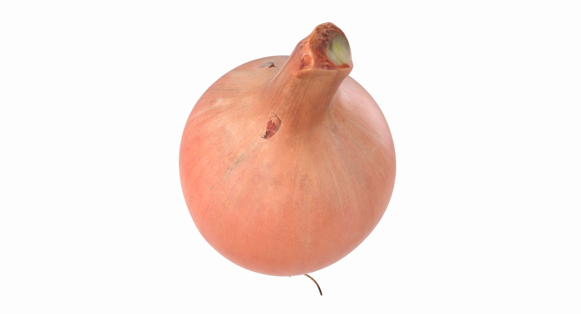 3d model onion https://p.turbosquid.com/ts-thumb/Y2/SZicgS/kVunWArM/onion_08/jpg/1468795247/1920x1080/fit_q87/73b0461e17e642d429281de24cc77a07e75ec0c5/onion_08.jpg