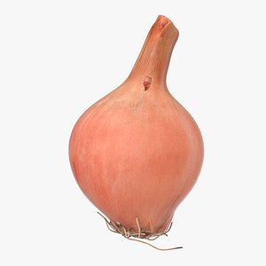 Onion
