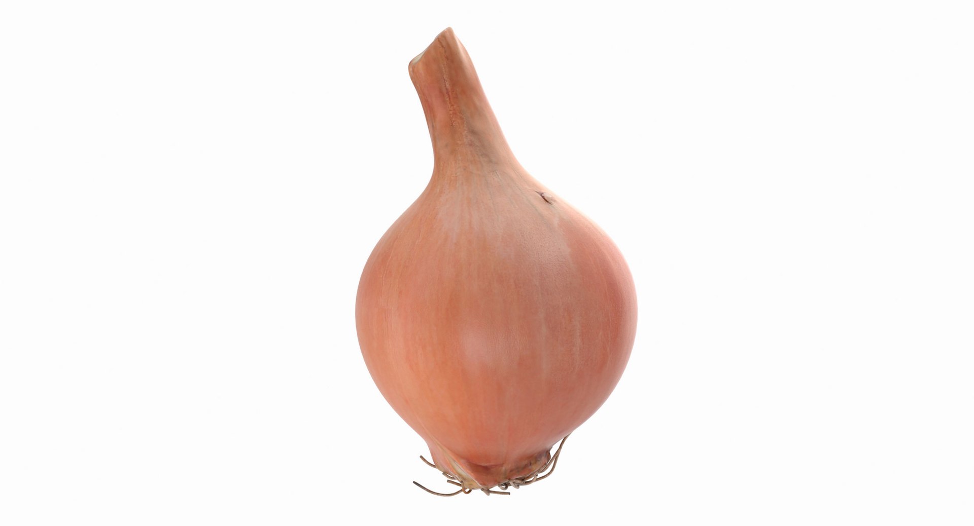 3d model onion https://p.turbosquid.com/ts-thumb/Y2/SZicgS/rOVsetdh/onion_05/jpg/1468795247/1920x1080/fit_q87/c43642b8655b1f9c77dd410a04697f44041f729e/onion_05.jpg