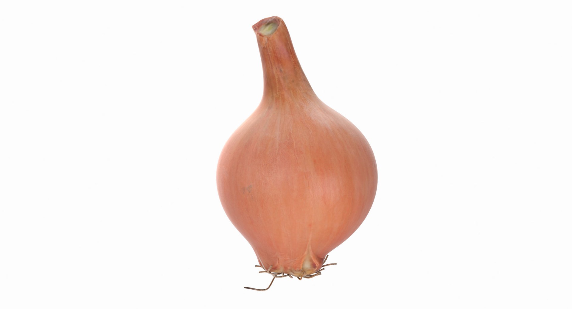 3d model onion https://p.turbosquid.com/ts-thumb/Y2/SZicgS/rVRbXWz9/onion_04/jpg/1468795247/1920x1080/fit_q87/5331dcfe95ac7ca7e6845b980f55a16112cdbcb4/onion_04.jpg
