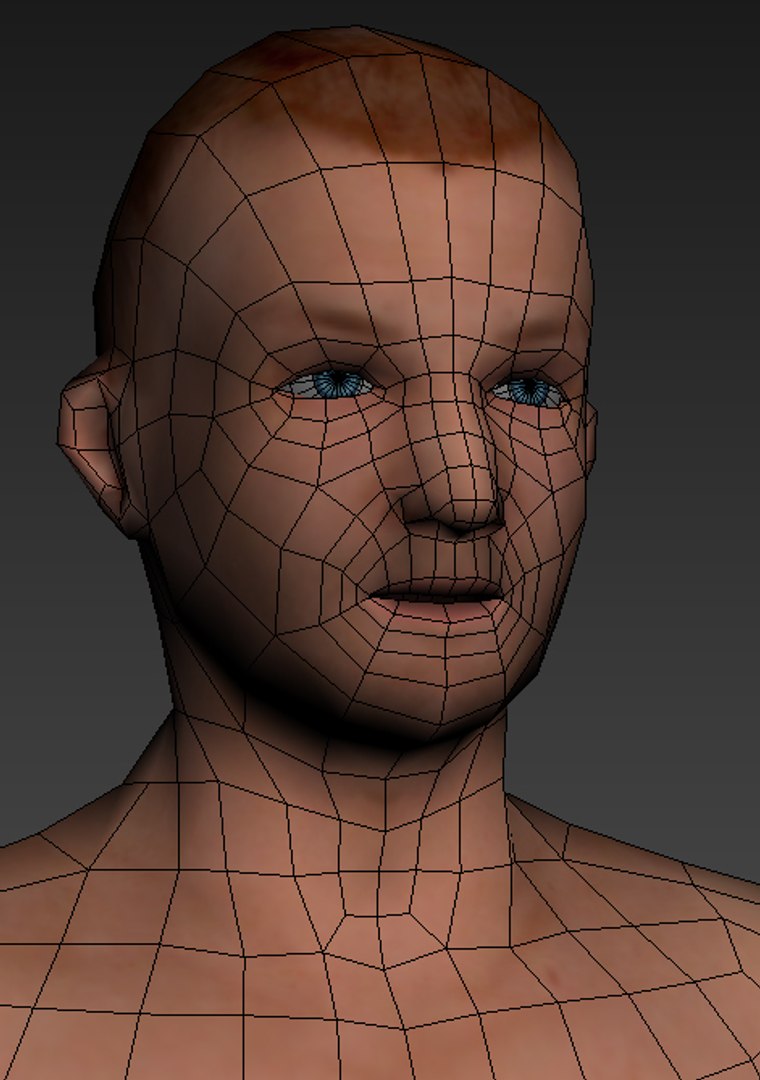 Human Male Man 3d Model