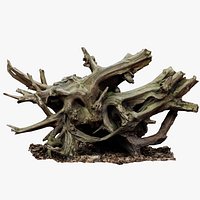Intricate Tree Root Stump Remastered