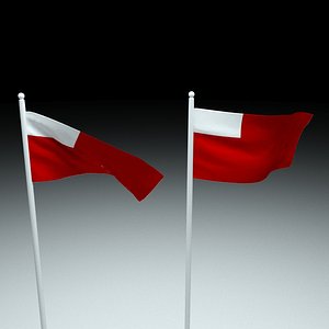 abu dhabi flag 3D model