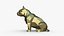 American Bully