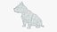 American Bully