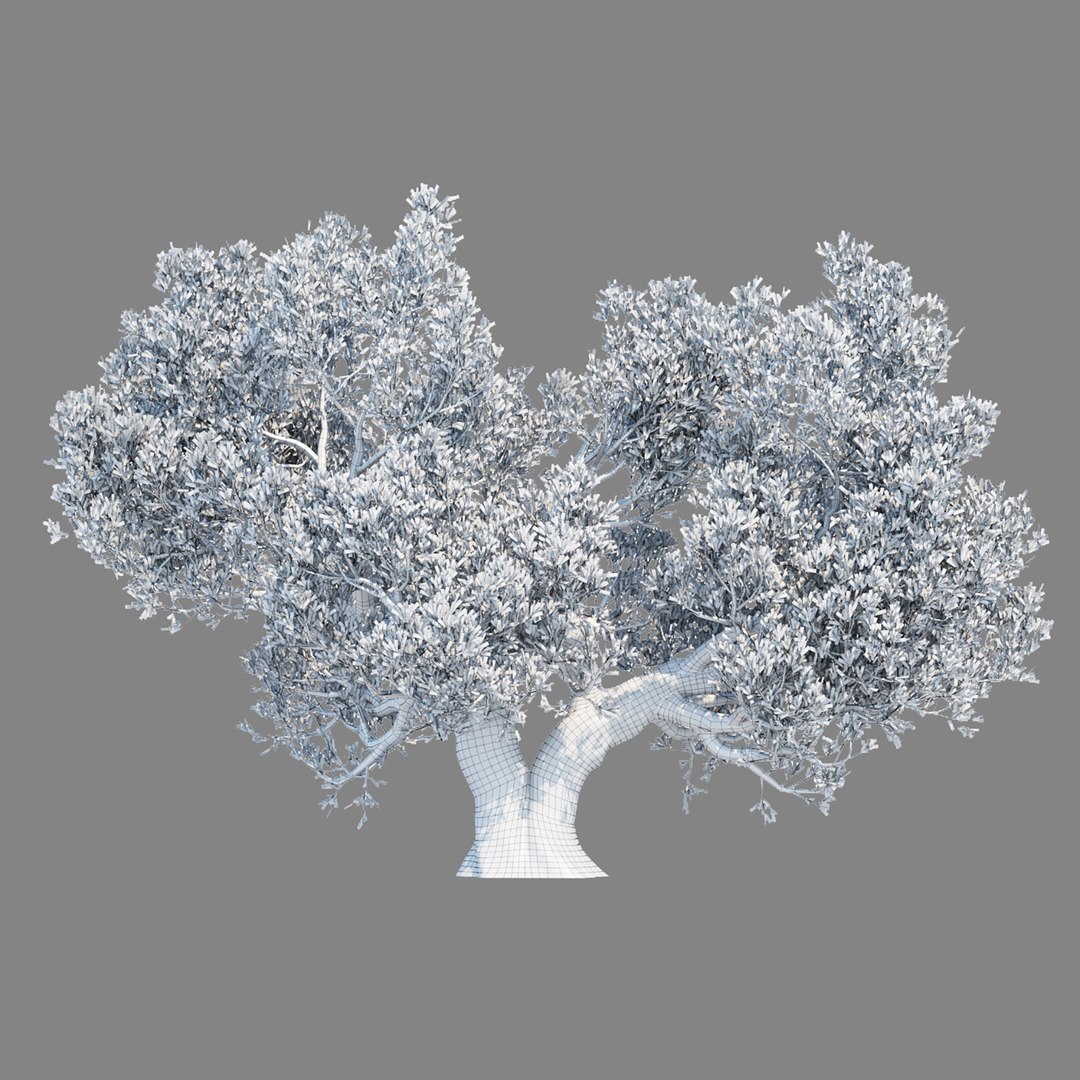 Natural Tree For Landscape Vol 219 3D Model - TurboSquid 2081841