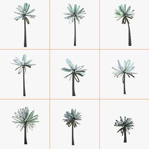 Collection of conceptual palm trees S1