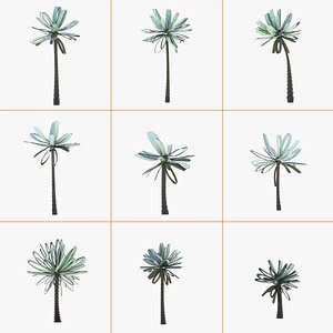 Collection of conceptual palm trees S1