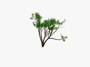 tree pack 5
