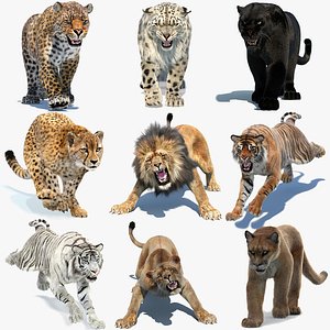 3D Big Cats Ultimate 3d Models Bundle model