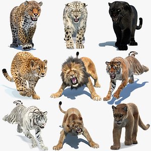 Big Cats Ultimate 3d Models Bundle