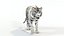 3D Big Cats Ultimate 3d Models Bundle model