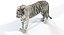 3D Big Cats Ultimate 3d Models Bundle model