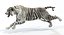 3D Big Cats Ultimate 3d Models Bundle model