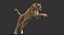 3D Big Cats Ultimate 3d Models Bundle model