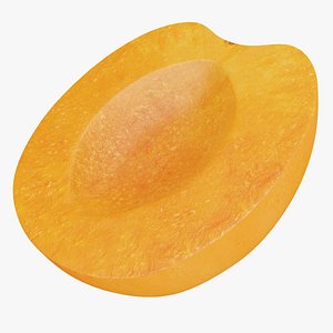 3D model Apricot half without stone