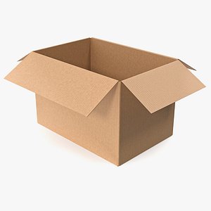 Cardboard box sealed with packing 07